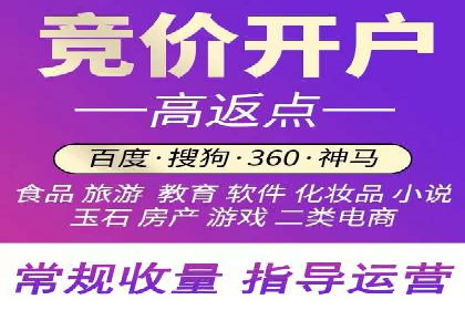 成功案例：一家SEM外包公司的成长与蜕变